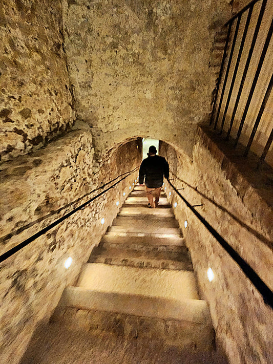 Inside the Region - Travels, Tales, and Terroir